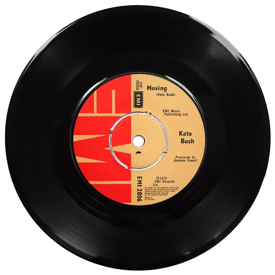 KATE BUSH - The Man With The Child In His Eyes - Image 5