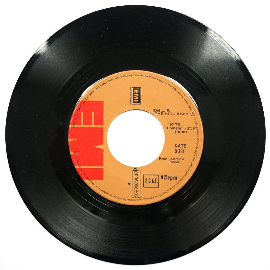 KATE BUSH - Wuthering Heights - Image 4