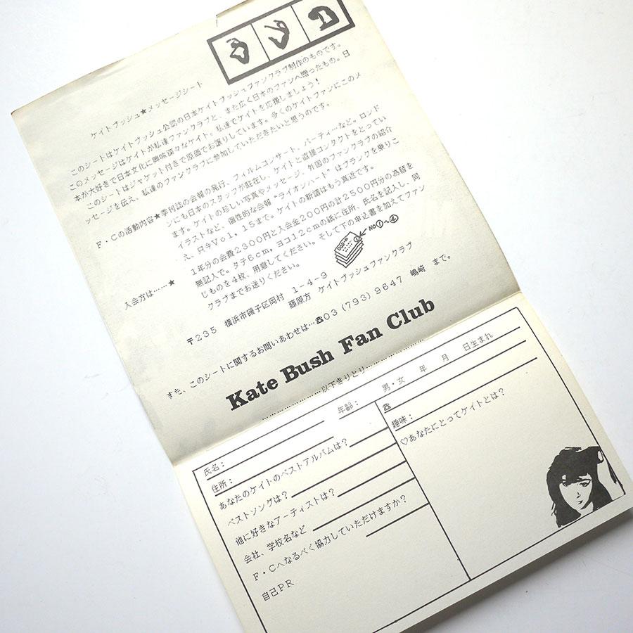 KATE BUSH – Message 1985 (PROMO ONLY) - Image 3