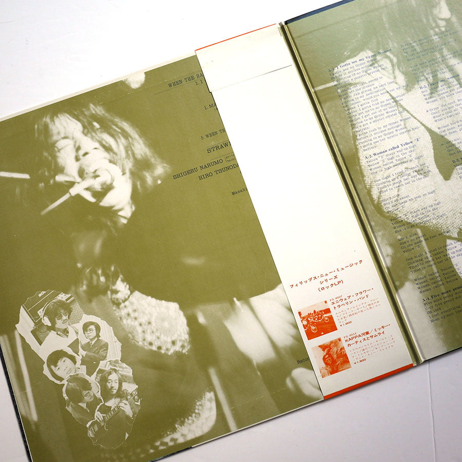 STRAWBERRY PATH - When The Raven Has Come To The Earth - Image 3