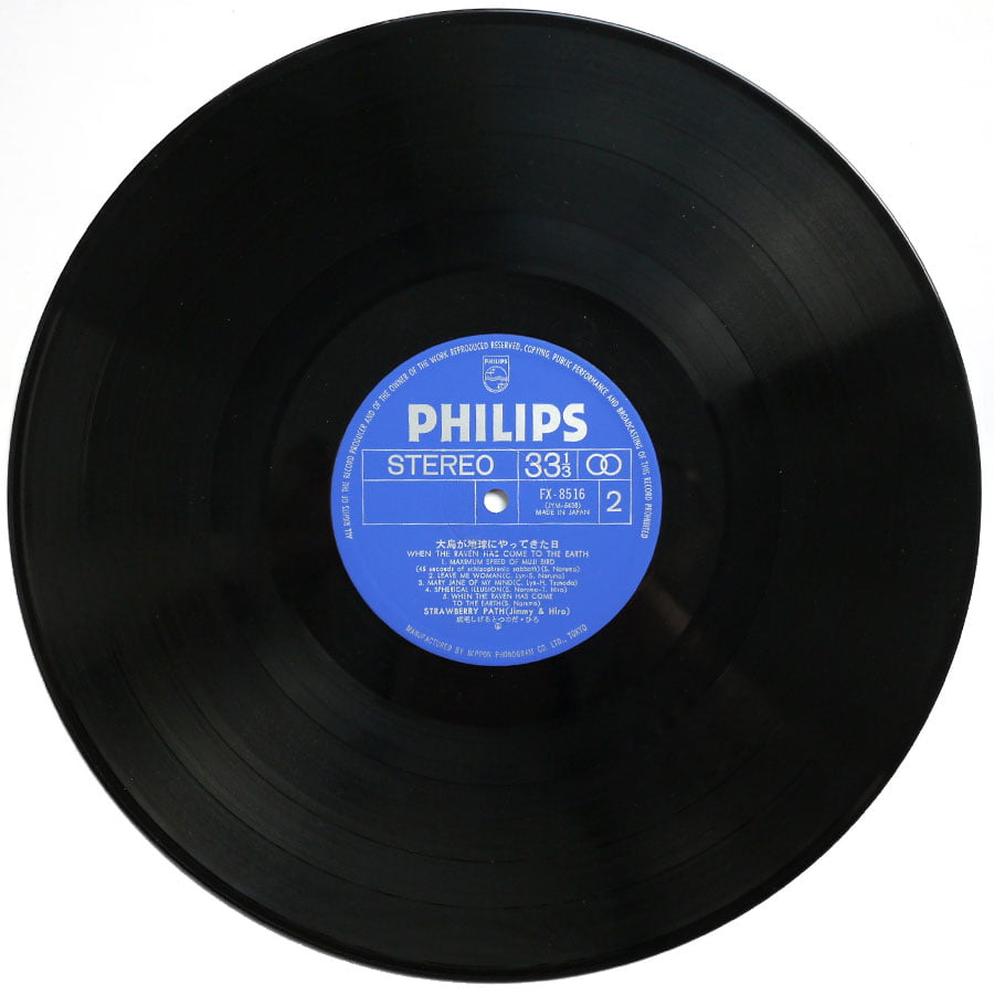 STRAWBERRY PATH - When The Raven Has Come To The Earth - Image 6