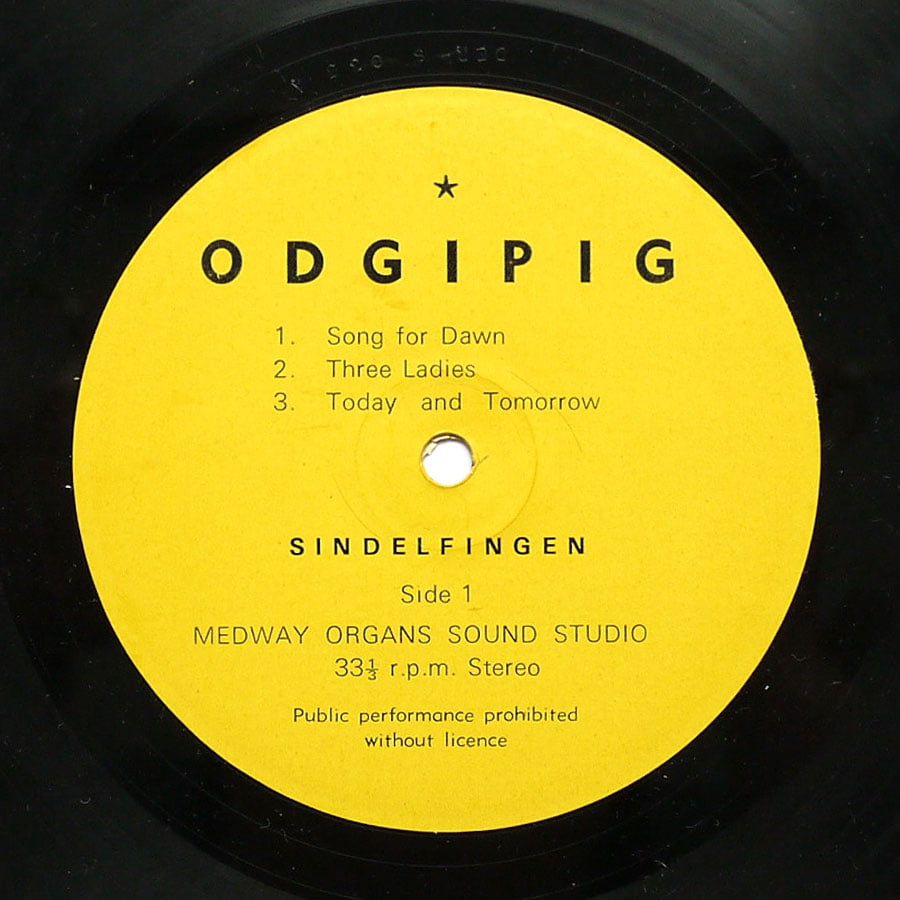 SINDELFINGEN - Odgipig - Image 4
