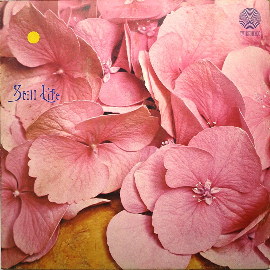 STILL LIFE – Still Life