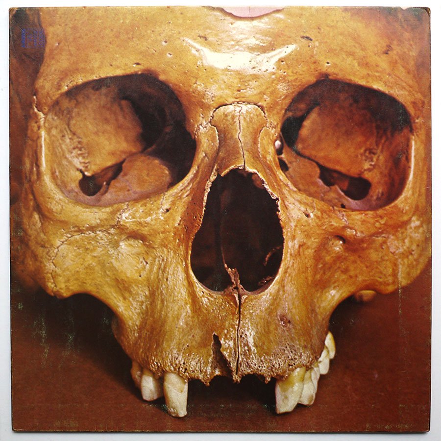 STILL LIFE – Still Life - Image 2