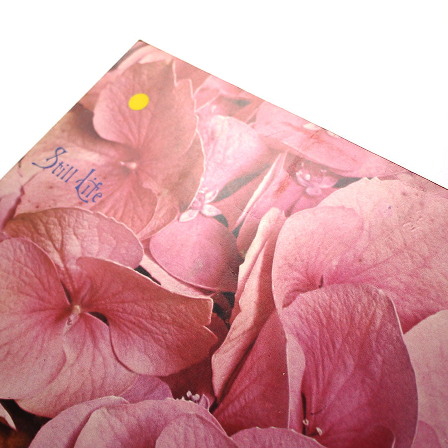 STILL LIFE – Still Life - Image 3