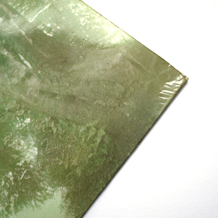 FRESH MAGGOTS - Fresh Maggots - Image 4