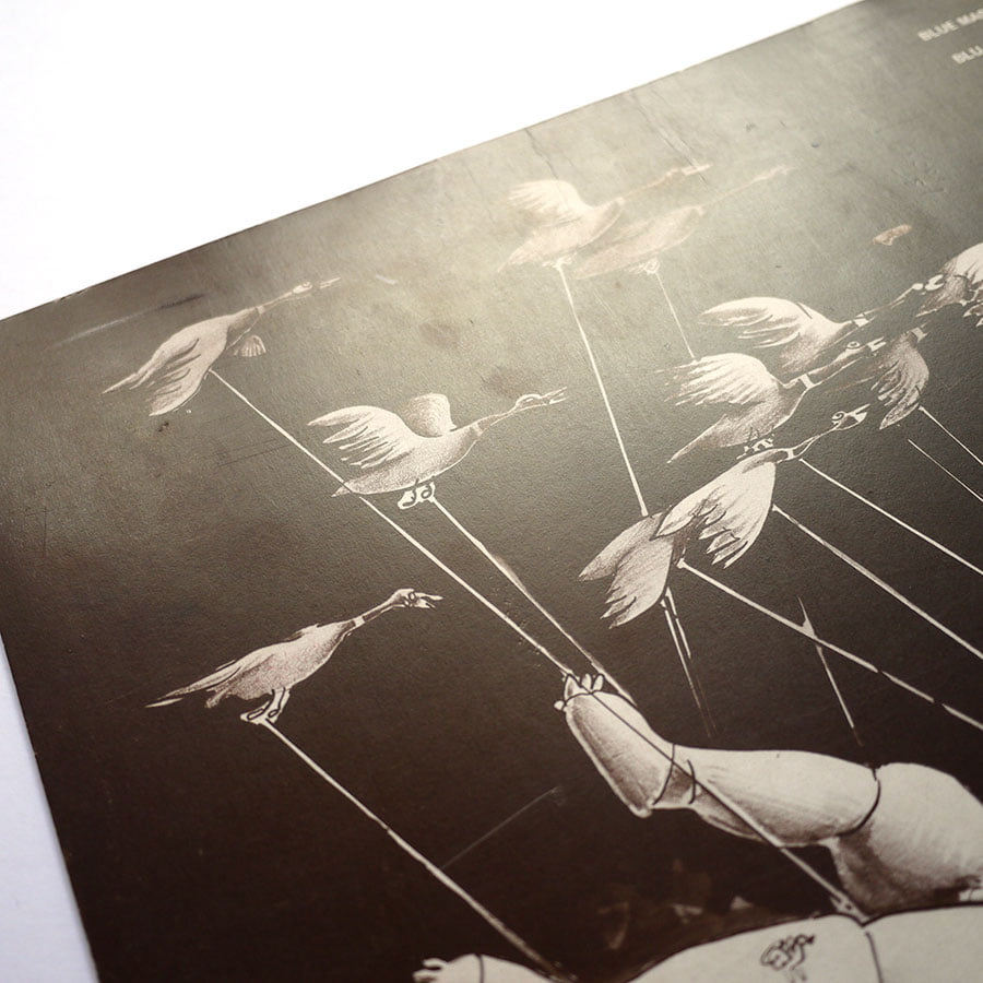 APOLLO - Apollo - Image 4