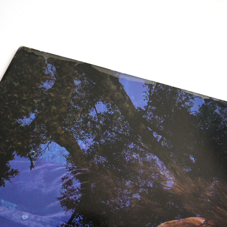 ZAKARRIAS - Zakarrias - Image 4