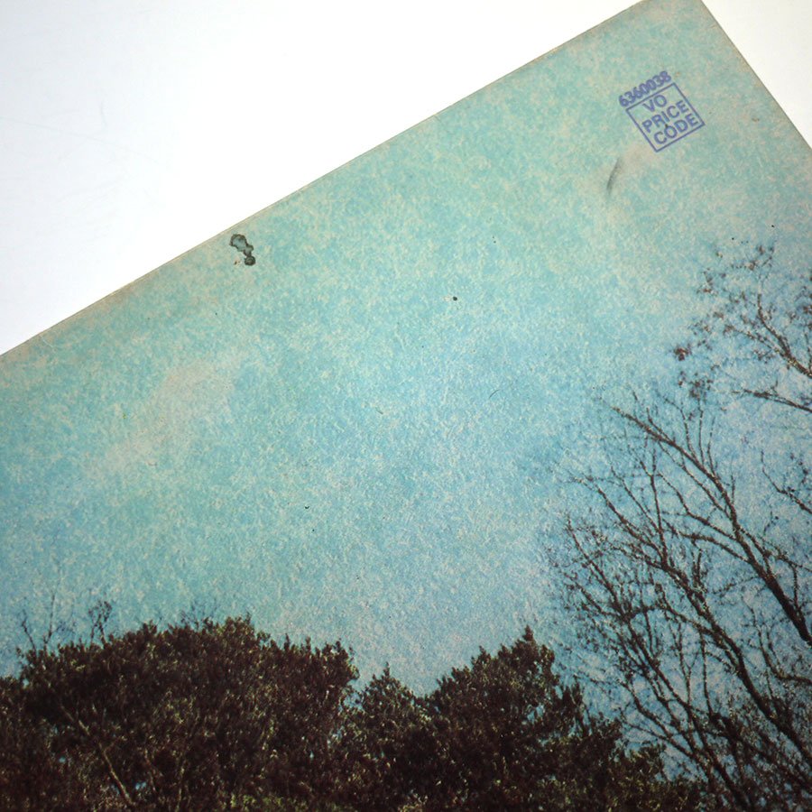 DADDY LONGLEGS – Oakdown Farm - Image 3