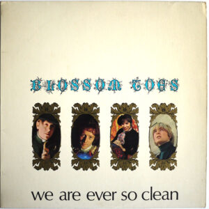 BLOSSOM TOES - We Are Ever So Clean