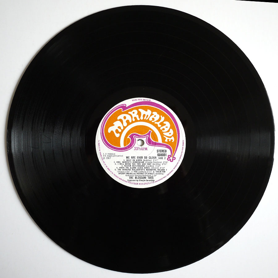 BLOSSOM TOES - We Are Ever So Clean - Image 7