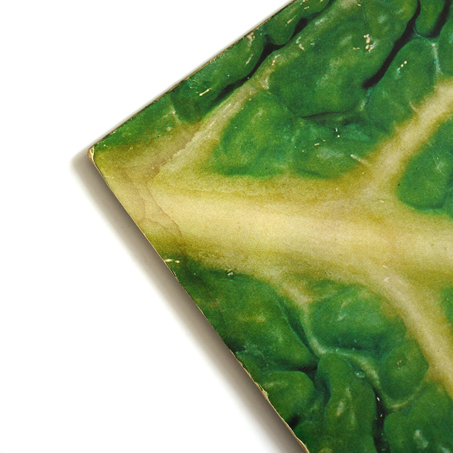 CATAPILLA - Changes - Image 4