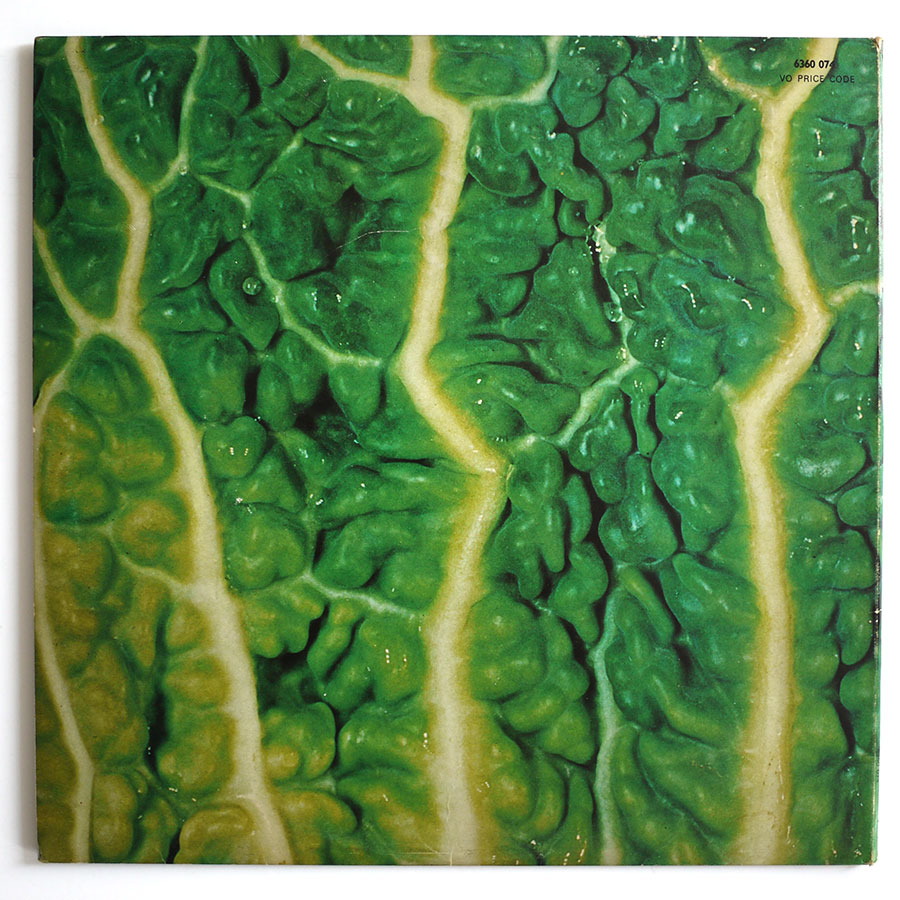 CATAPILLA - Changes - Image 2