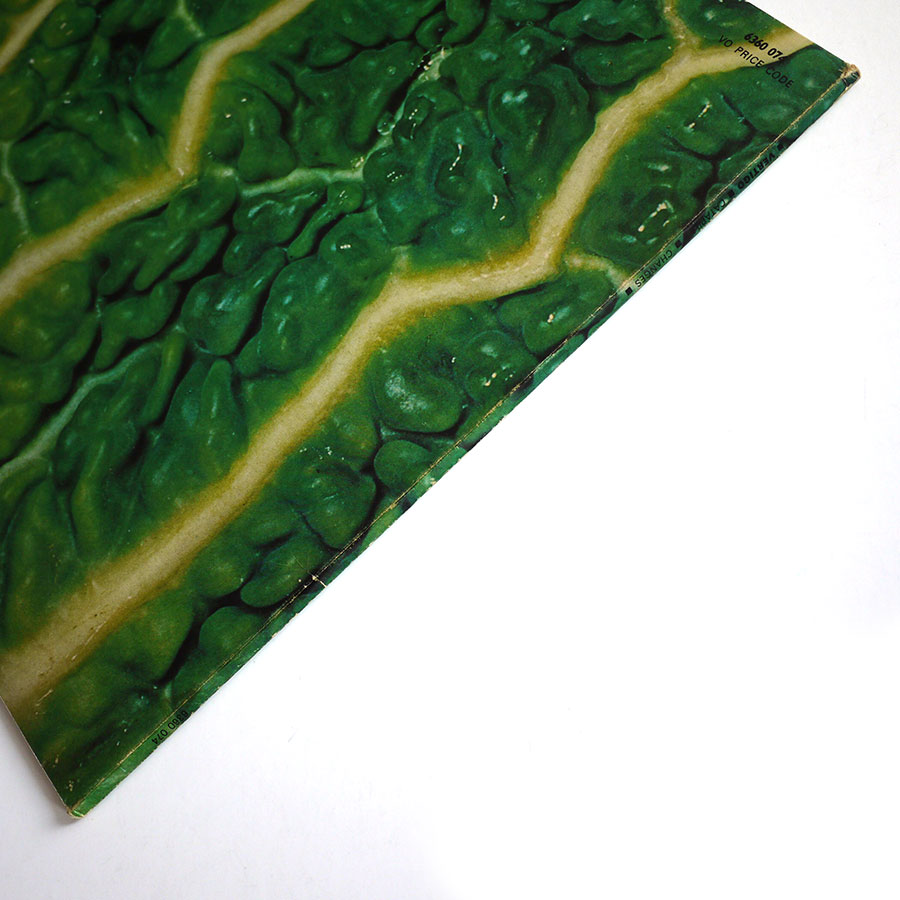 CATAPILLA - Changes - Image 3