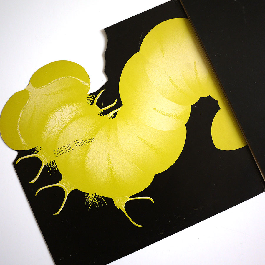 CATAPILLA - Changes - Image 5