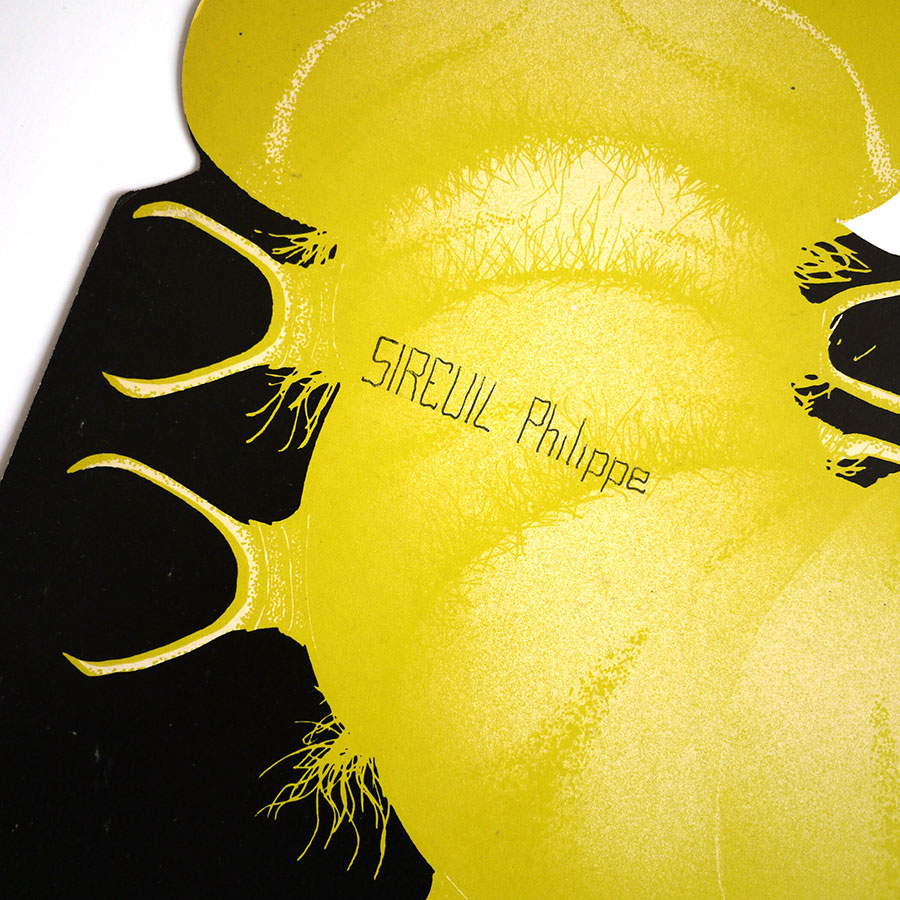 CATAPILLA - Changes - Image 6