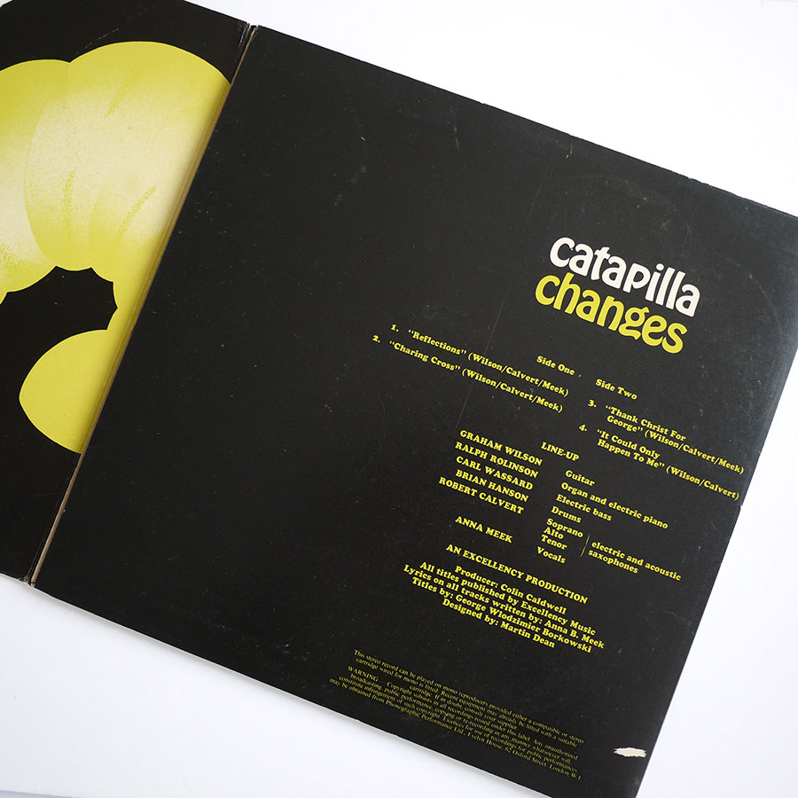 CATAPILLA - Changes - Image 7