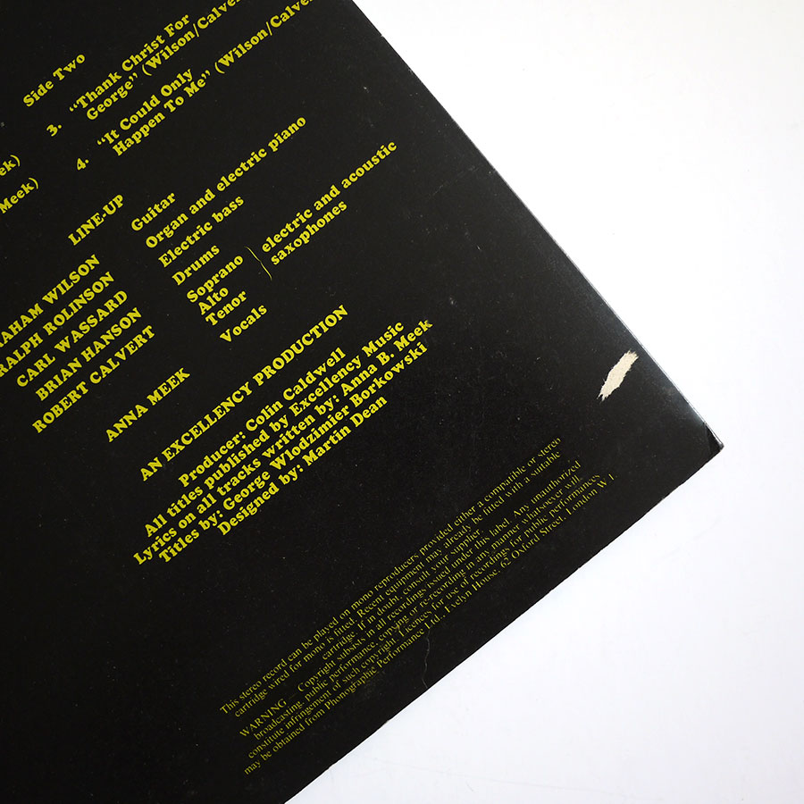 CATAPILLA - Changes - Image 8