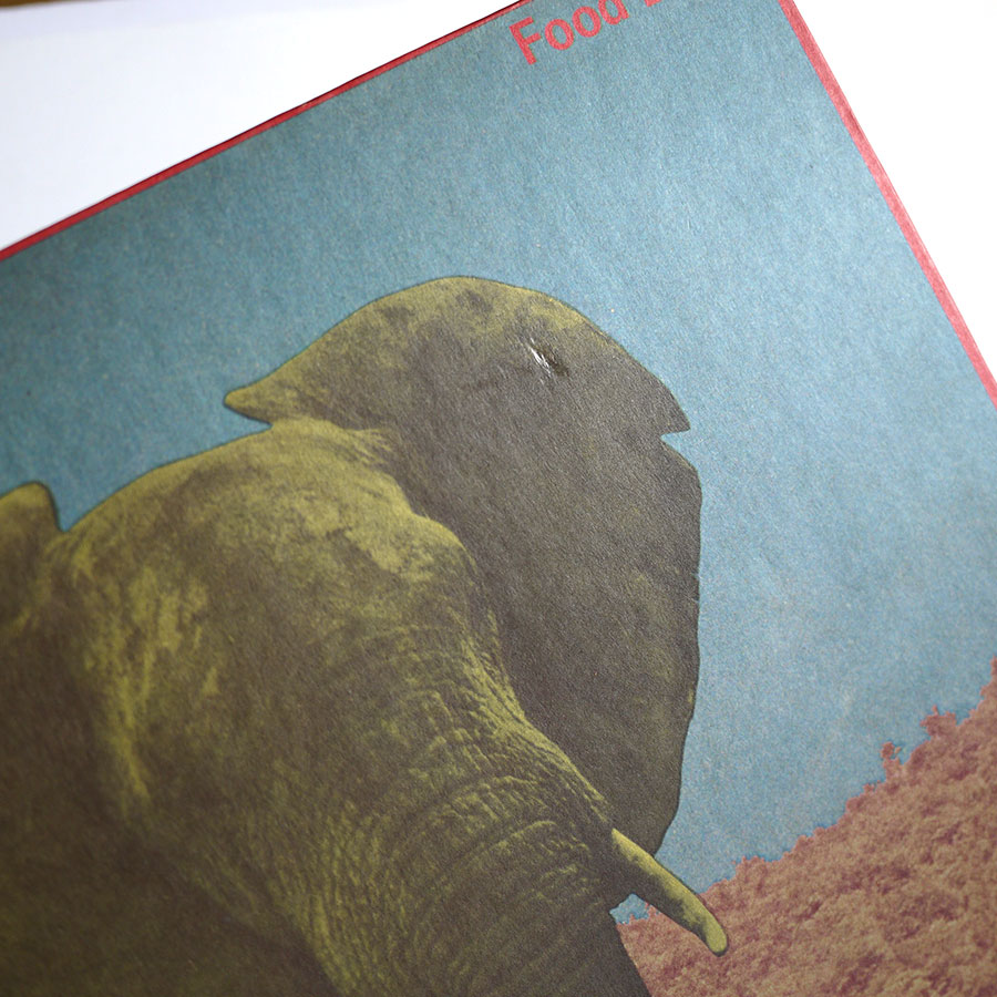 FOOD BRAIN - Social Gathering - Image 5