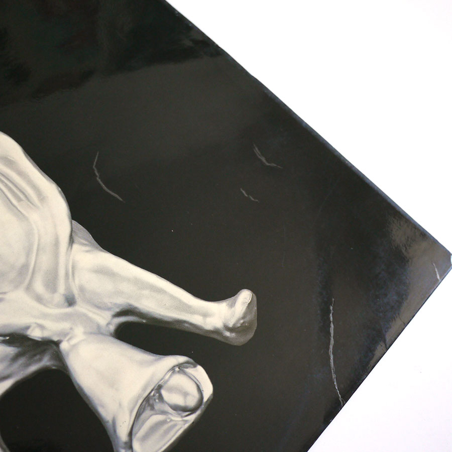 SPRIGUNS - Revel Weird And Wind - Image 2