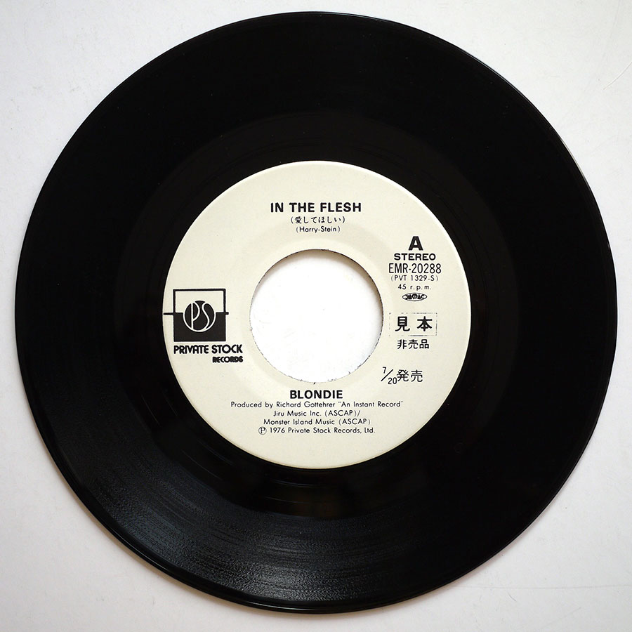 BLONDIE - In The Flesh (PROMO) - Image 4