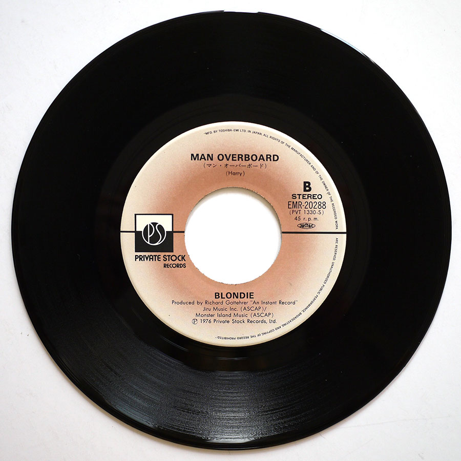 BLONDIE - In The Flesh - Image 5