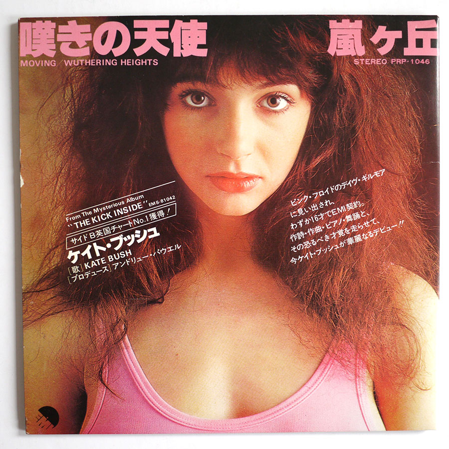KATE BUSH - Special D.J. Copy (PROMO ONLY) - Image 2
