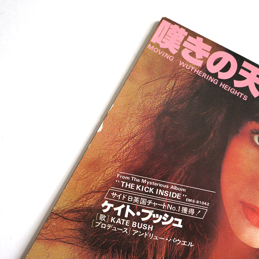 KATE BUSH - Special D.J. Copy (PROMO ONLY) - Image 3