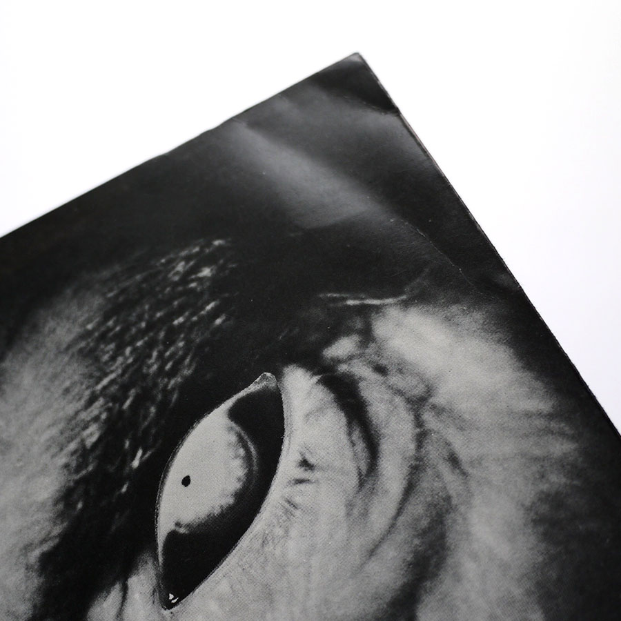 CURE - Killing An Arab - Image 5