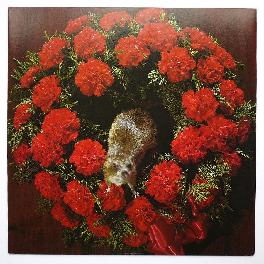 STRANGLERS - No More Heroes - Image 5