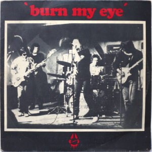 RADIO BIRDMAN - Burn My Eye